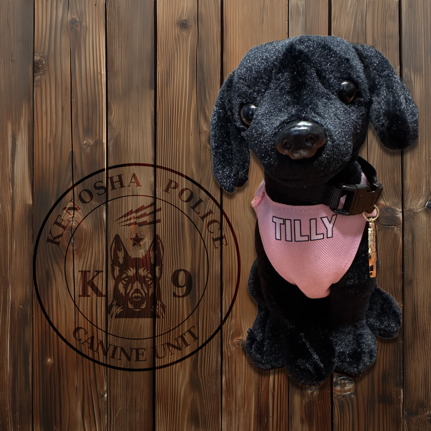 Plushie | Tilly